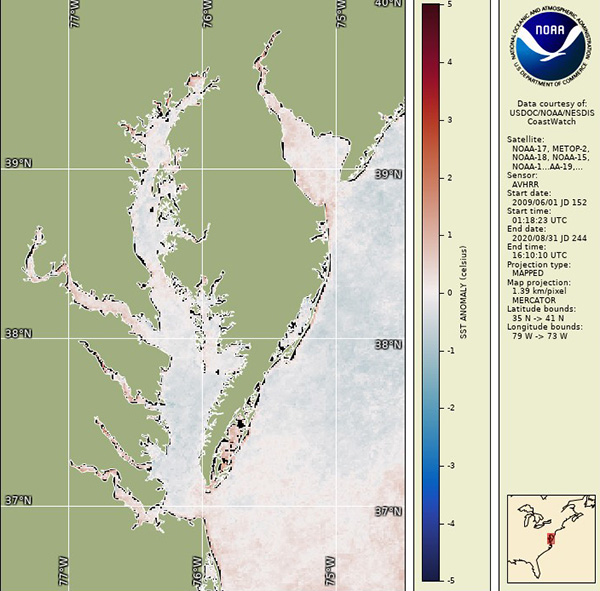 Map of the Chesapeake Bay with satellite data indicating water temperatures were near average in summer 2021