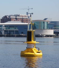 Norfolk buoy