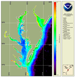 Turbidity in the Bay in October 2015