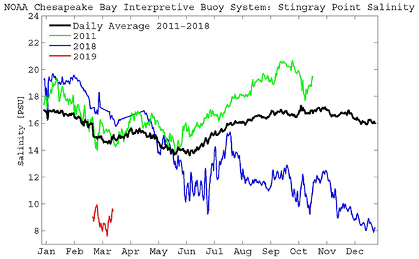 Graph of salinity in recent years at the CBIBS Stingray Point buoy