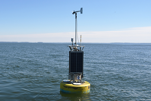 A new yellow CBIBS buoy is located at Gooses Reef.