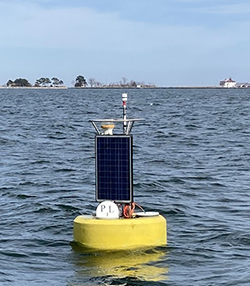A yellow buoy floats in the water with a shoreline in the background